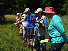 BayernTourNatur-Exkursion am 19. Juli rund um den Faulensee mit Rüdiger Kroll von der LPV-Geschäftsstelle BayernTourNatur-Exkursion am 19. Juli rund um den Faulensee mit Rüdiger Kroll von der LPV-Geschäftsstelle