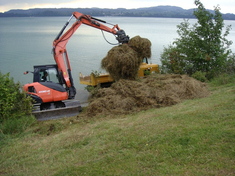 Aufladen des Mähguts vom Vogelberg auf den Dumper mithilfe eines Baggers Aufladen des Mähguts vom Vogelberg auf den Dumper mithilfe eines Baggers