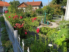 Zu entdecken gab es hier einen sehr schönen Bauerngarten von 60 m² Größe, mit herrlicher Blütenvielfalt, idyllisch gelegen am Kunst- und Kulturpfad Irsee beim Ensemble der Allgäuer Bauernhäuser im alten oberen Dorf.